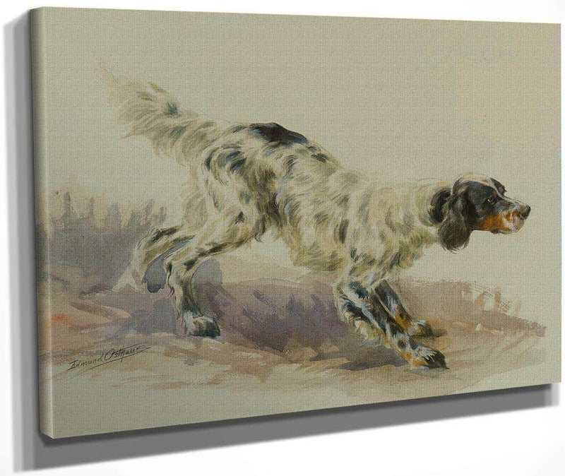 A Setter At Work By Edmund Henry Osthaus Fine Art Print