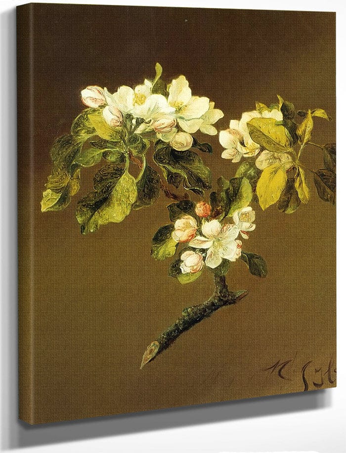 A Spray Of Apple Blossoms By Martin Johnson Heade Fine Art Print