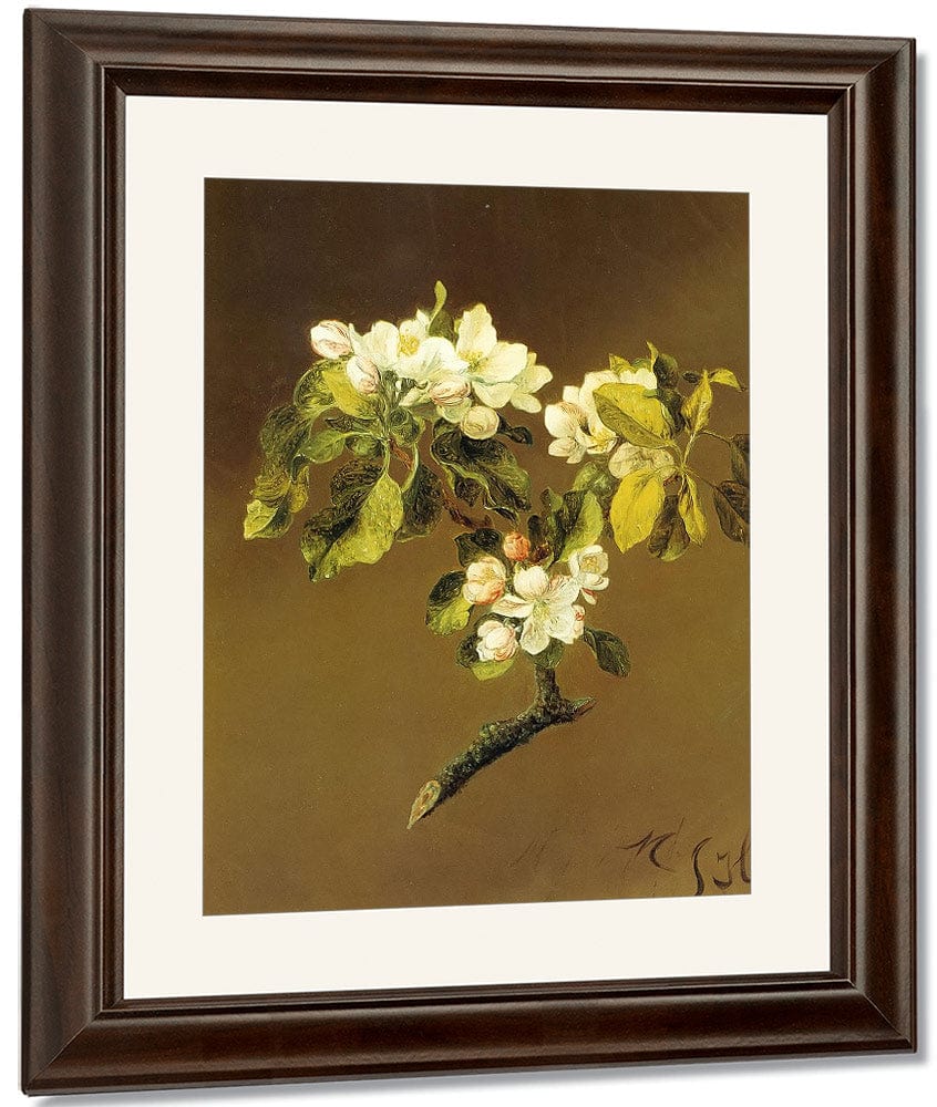 A Spray Of Apple Blossoms By Martin Johnson Heade Fine Art Print