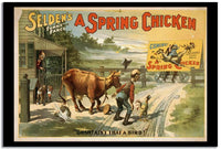 A Spring Chicken  Vintage Poster Fine Art Print