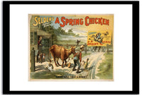 A Spring Chicken  Vintage Poster Fine Art Print