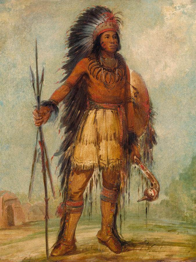 A Wun Ne Wa Be, Bird Of Thunder By George Catlin Fine Art Print