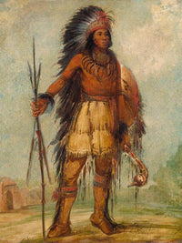 A Wun Ne Wa Be, Bird Of Thunder By George Catlin Fine Art Print