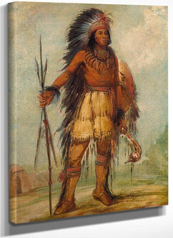 A Wun Ne Wa Be, Bird Of Thunder By George Catlin Fine Art Print