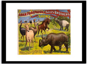 Adam Forepauch & Sells Brothers Fine Art Print