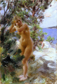After The Bath Painting Anders Zorn Canvas Art Fine Art Print