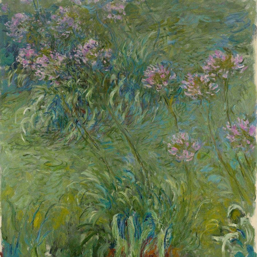 Agapanthus By Monet Claude Fine Art Print