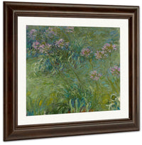 Agapanthus By Monet Claude Fine Art Print