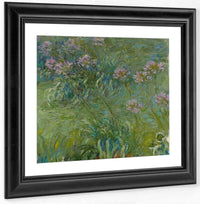Agapanthus By Monet Claude Fine Art Print