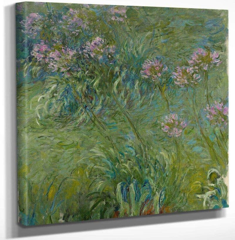 Agapanthus By Monet Claude Fine Art Print
