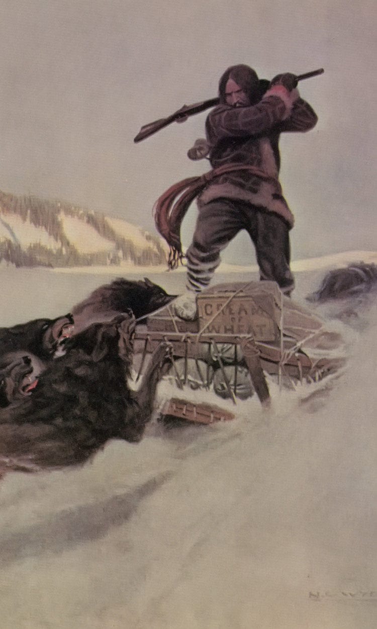 Alaska By NC Wyeth Fine Art Print