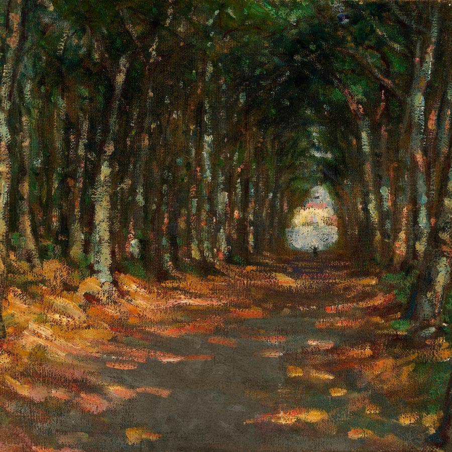 Allee Dans Le Parc By Alice Pike Barney Fine Art Print