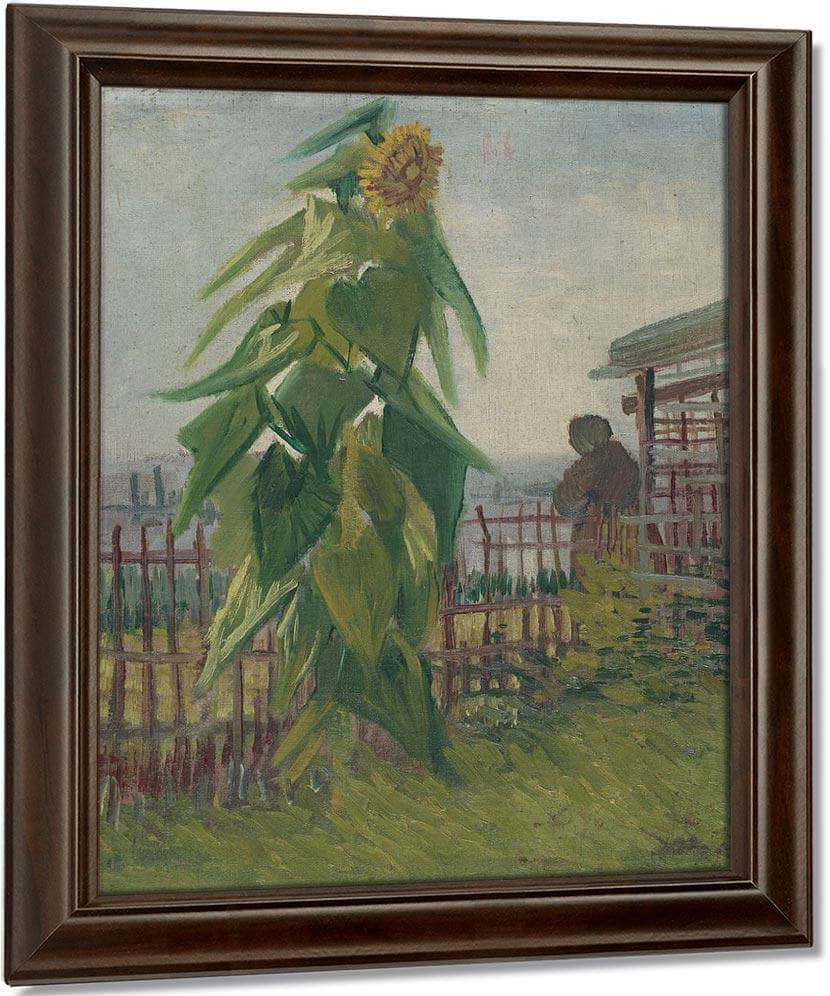 Allotment With Sunflower By Vincent Van Gogh Fine Art Print