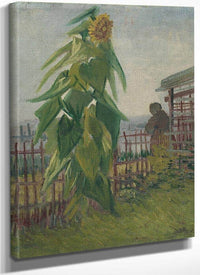 Allotment With Sunflower By Vincent Van Gogh Fine Art Print