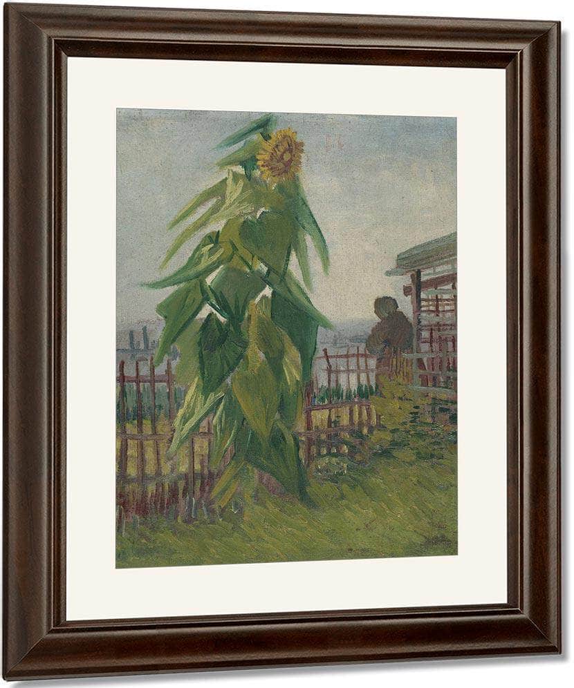 Allotment With Sunflower By Vincent Van Gogh Fine Art Print