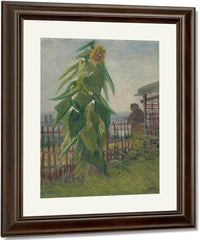 Allotment With Sunflower By Vincent Van Gogh Fine Art Print