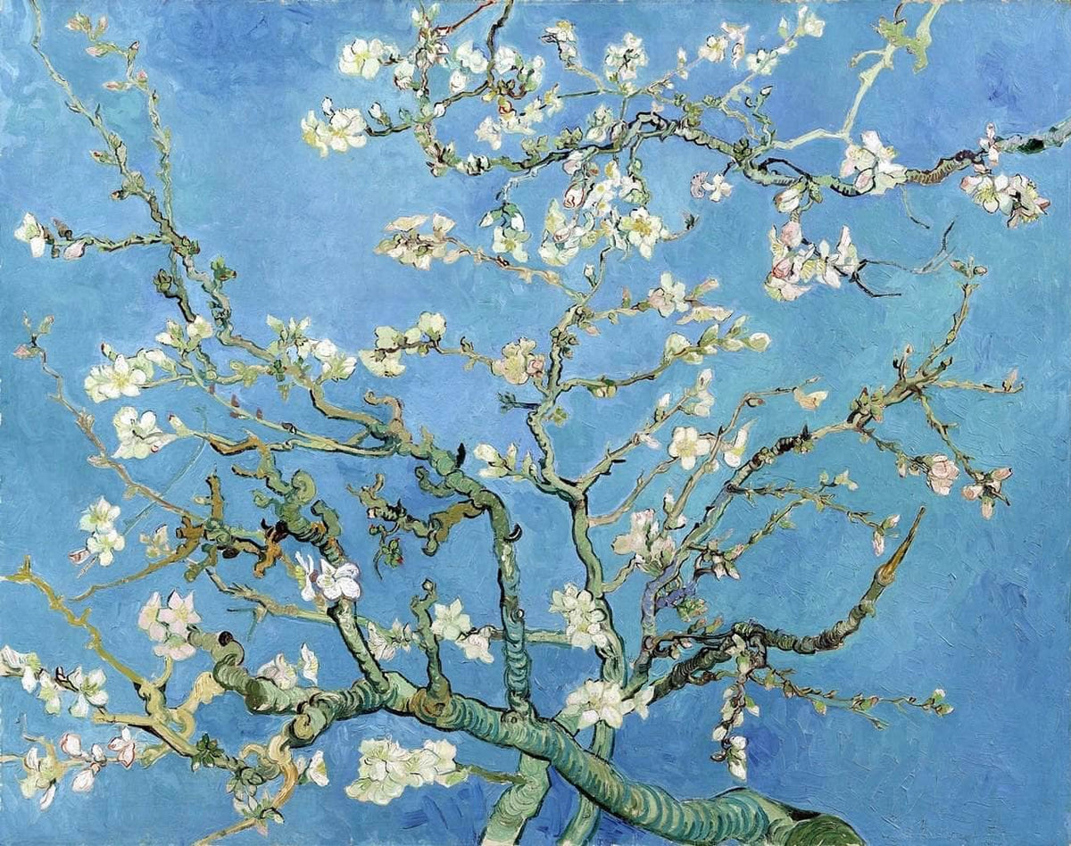 Almond Blossom Painting Vincent Van Gogh Canvas Art Fine Art Print
