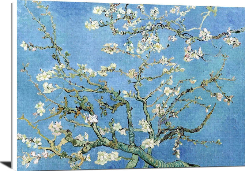 Almond Blossom Painting Vincent Van Gogh Canvas Art Fine Art Print