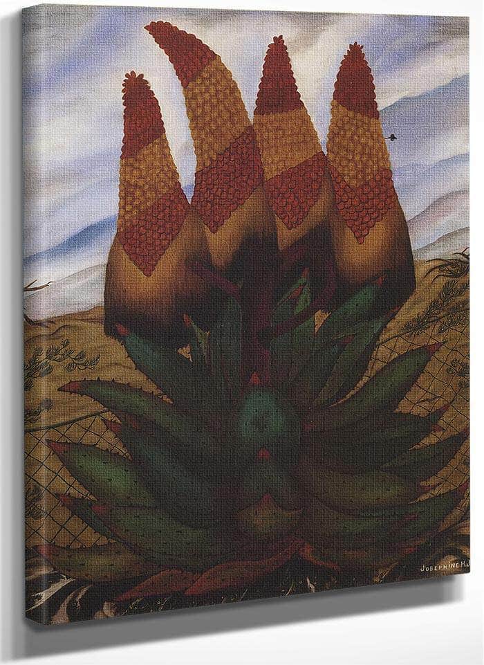 Aloe By Josephine Joy Fine Art Print