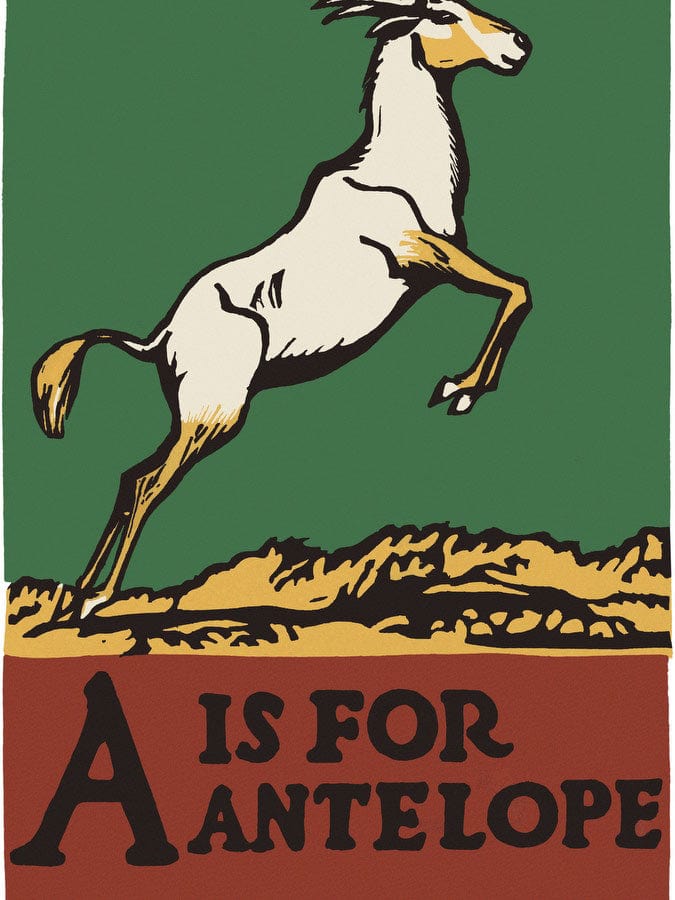 Alphabet  A Is For Antelope By C.B. Falls Fine Art Print