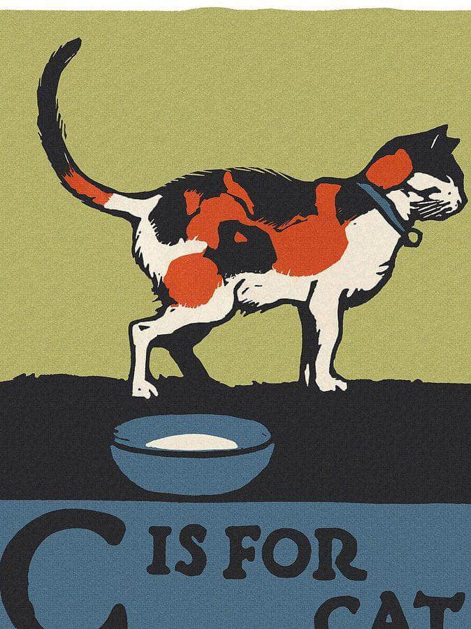 Alphabet  C Is For Cat By C.B. Falls Fine Art Print