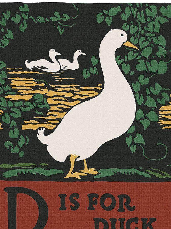 Alphabet  D Is For Duck By C.B. Falls Fine Art Print