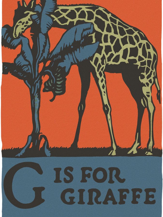 Alphabet G Is For Giraffe By C.B. Falls Fine Art Print