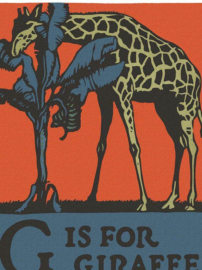 Alphabet G Is For Giraffe By C.B. Falls Fine Art Print