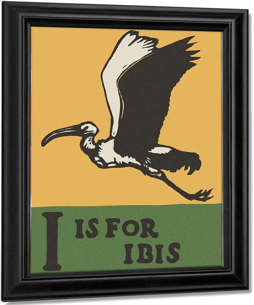 Alphabet I Is For Ibis By C.B. Falls Fine Art Print