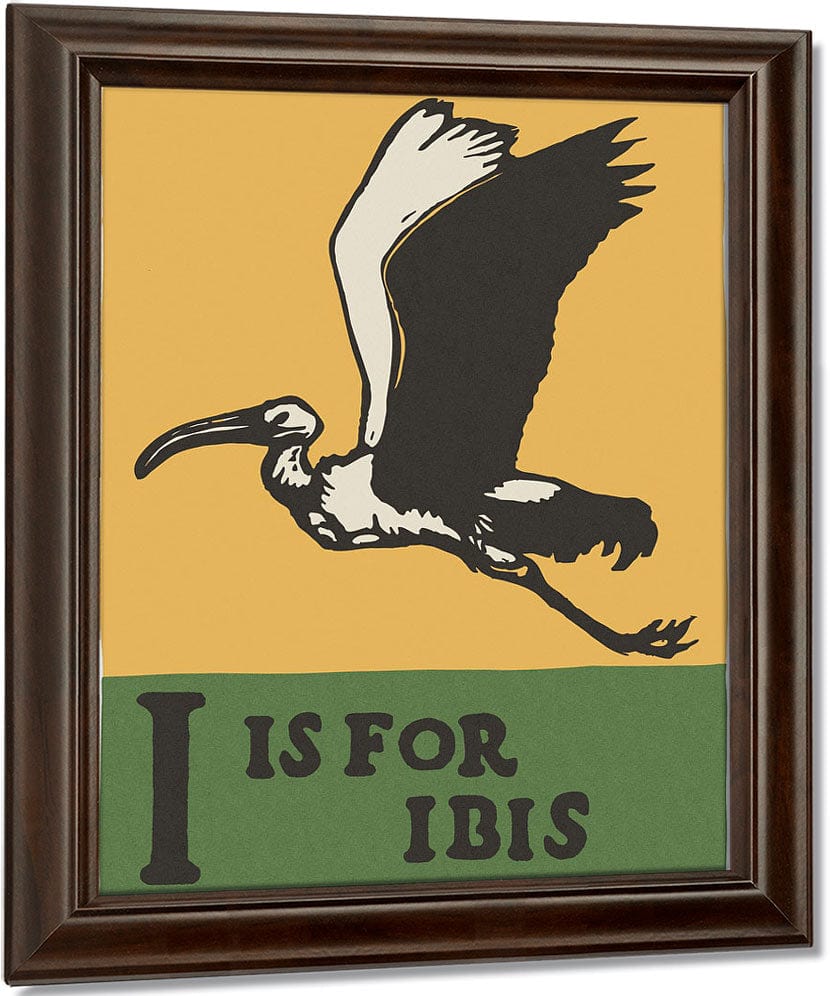 Alphabet I Is For Ibis By C.B. Falls Fine Art Print