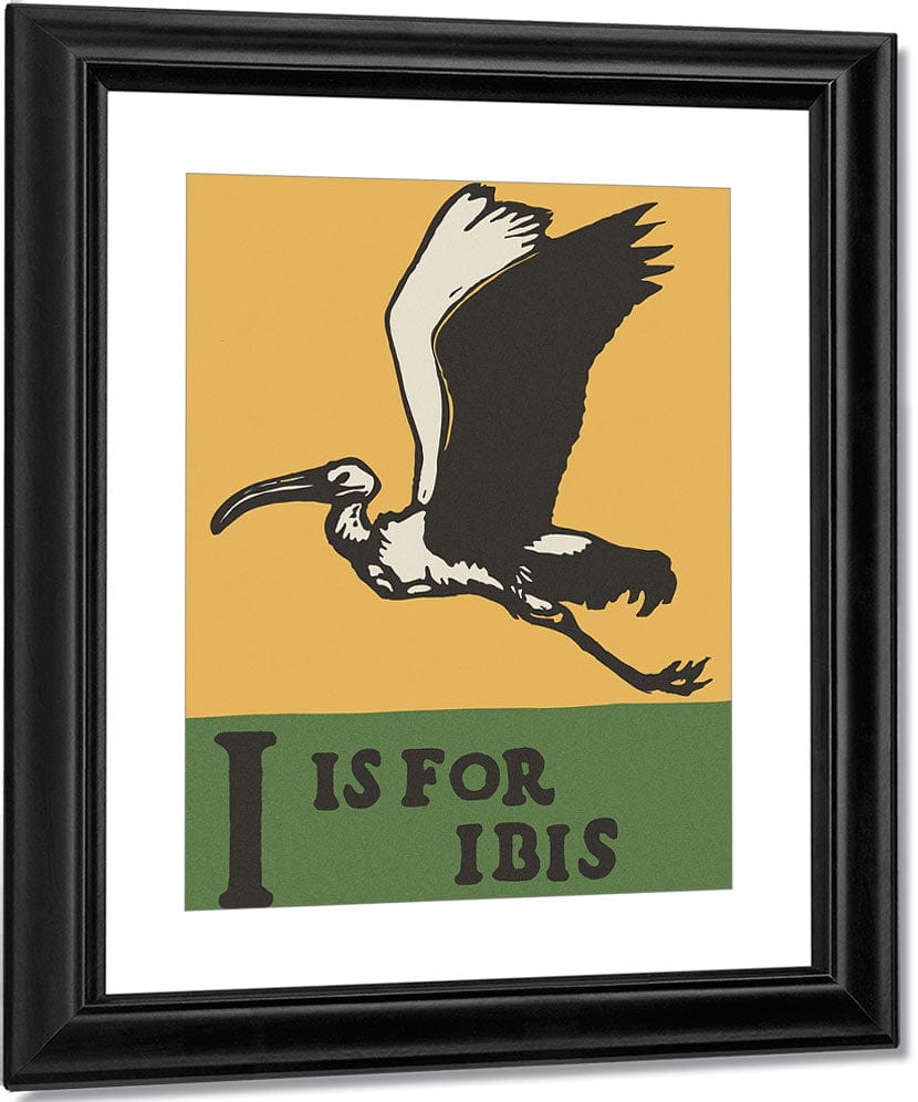 Alphabet I Is For Ibis By C.B. Falls Fine Art Print