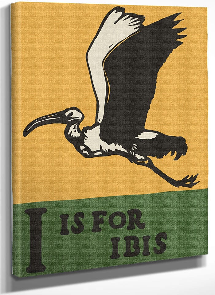 Alphabet I Is For Ibis By C.B. Falls Fine Art Print