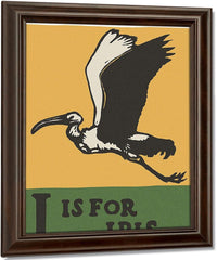Alphabet I Is For Ibis By C.B. Falls Fine Art Print
