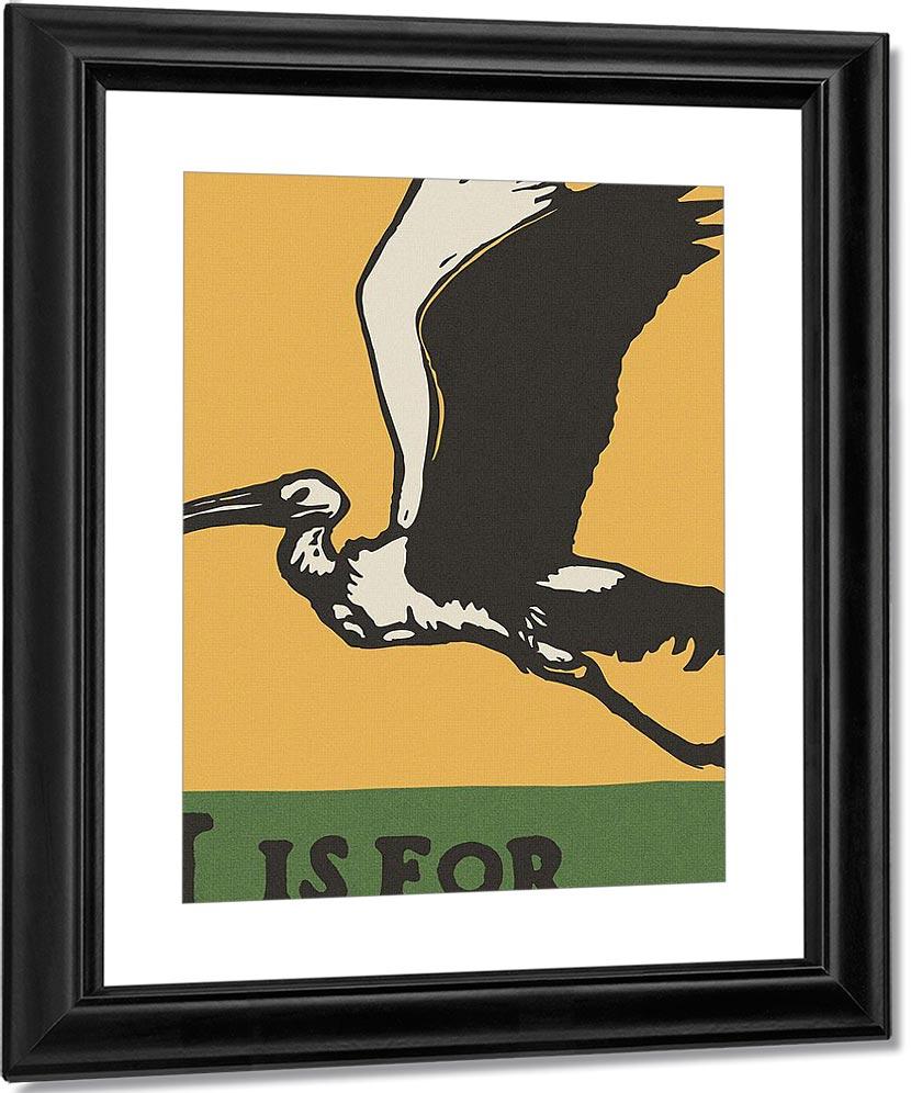 Alphabet I Is For Ibis By C.B. Falls Fine Art Print