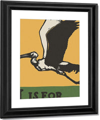 Alphabet I Is For Ibis By C.B. Falls Fine Art Print