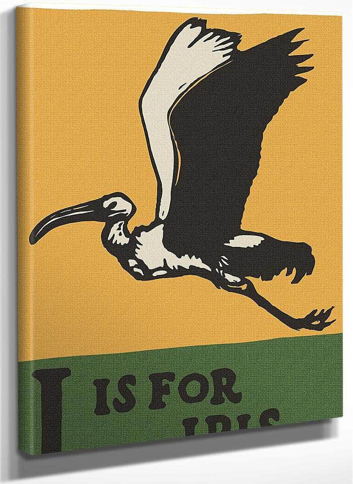 Alphabet I Is For Ibis By C.B. Falls Fine Art Print