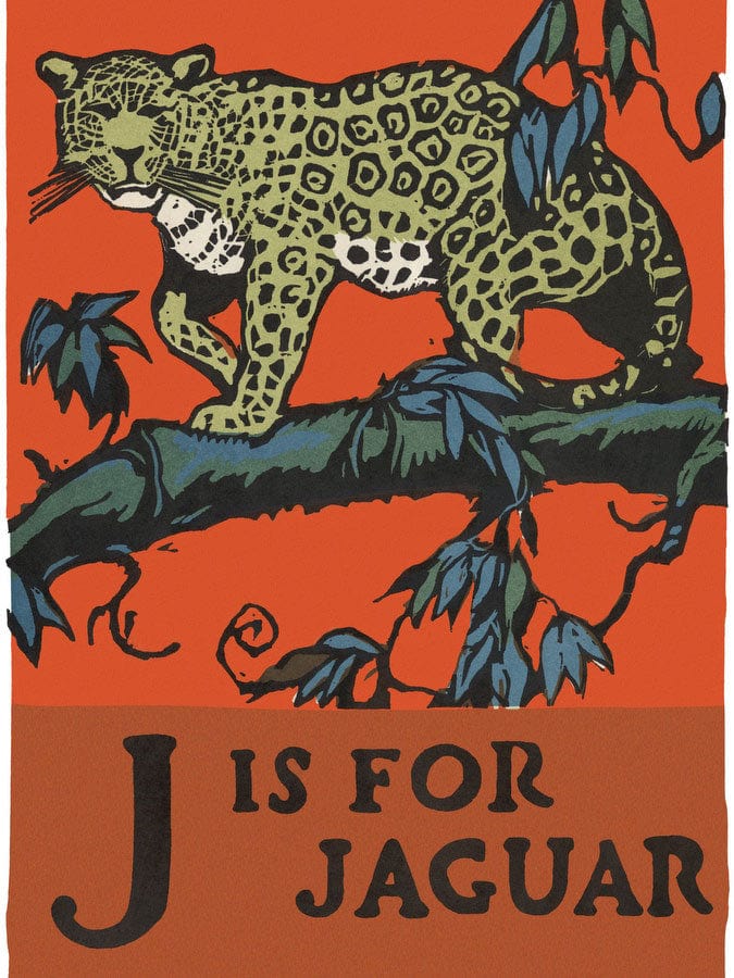 Alphabet J Is For Jaguar By C.B. Falls Fine Art Print