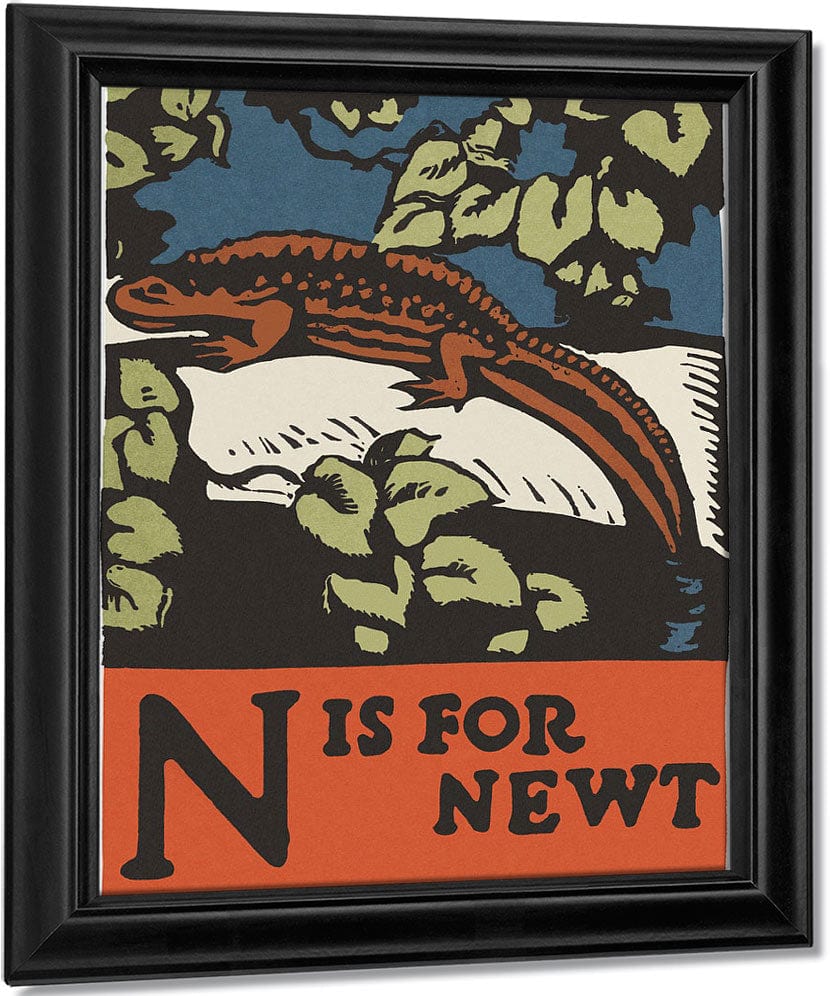 Alphabet  N Is For Newt By C.B. Falls Fine Art Print
