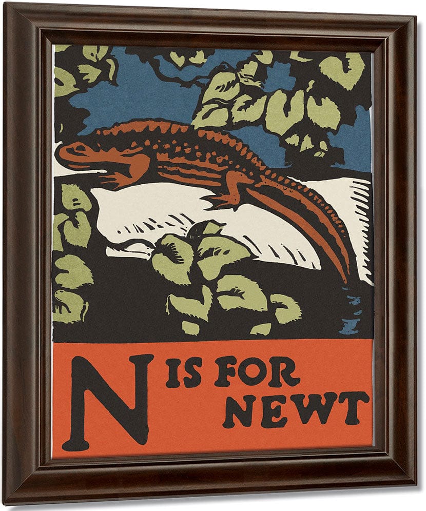 Alphabet  N Is For Newt By C.B. Falls Fine Art Print