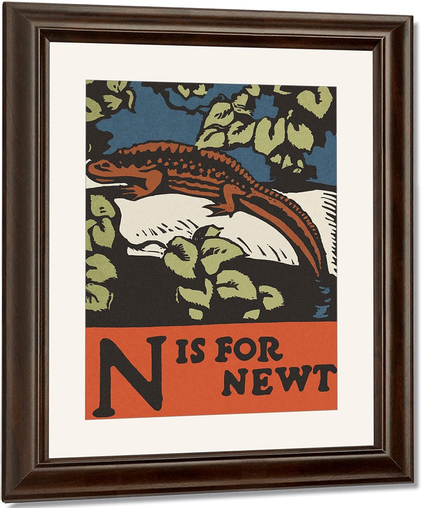 Alphabet  N Is For Newt By C.B. Falls Fine Art Print