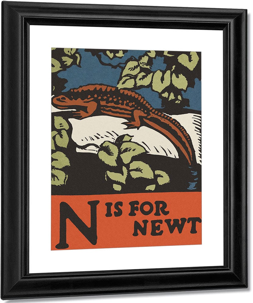 Alphabet  N Is For Newt By C.B. Falls Fine Art Print