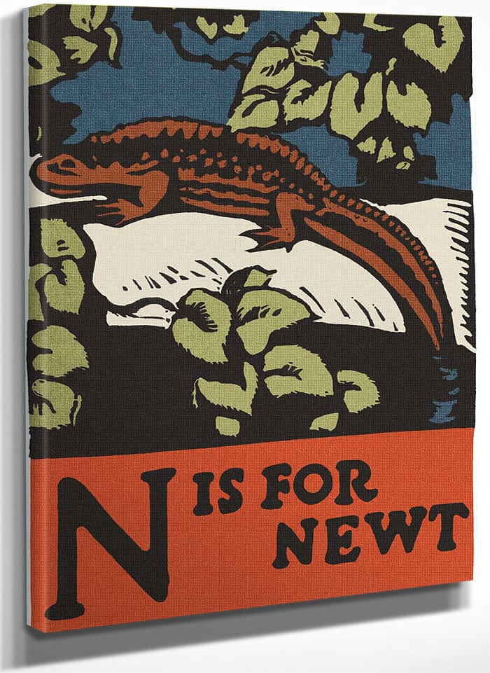 Alphabet  N Is For Newt By C.B. Falls Fine Art Print