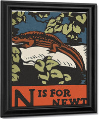 Alphabet  N Is For Newt By C.B. Falls Fine Art Print