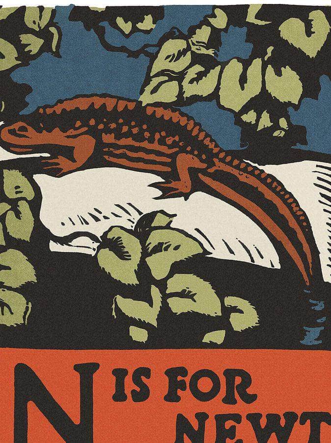 Alphabet  N Is For Newt By C.B. Falls Fine Art Print