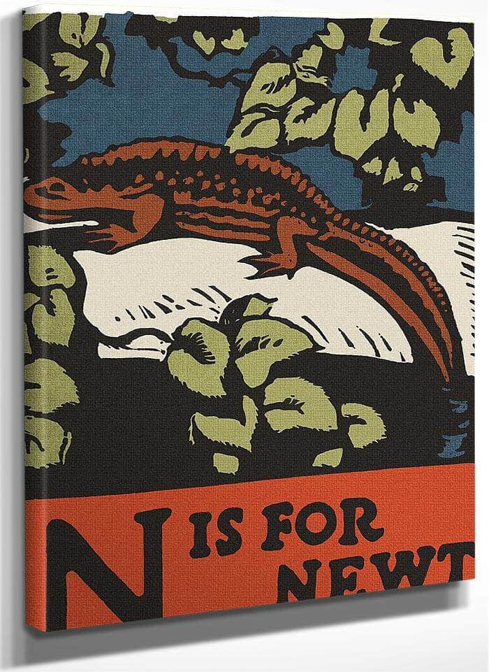 Alphabet  N Is For Newt By C.B. Falls Fine Art Print