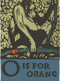 Alphabet O Is For Orangutan By C.B. Falls Fine Art Print