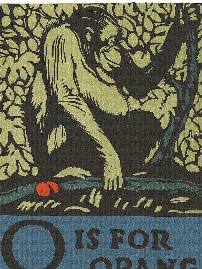 Alphabet O Is For Orangutan By C.B. Falls Fine Art Print