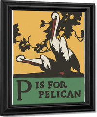 Alphabet P Is For Pelican By C.B. Falls Fine Art Print