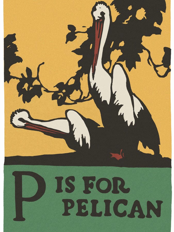 Alphabet P Is For Pelican By C.B. Falls Fine Art Print