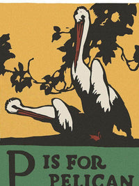 Alphabet P Is For Pelican By C.B. Falls Fine Art Print